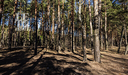 Участок в КП Новосельцево