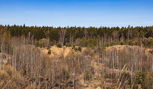Участок в КП Новосельцево