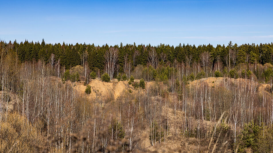 Участок в КП Новосельцево