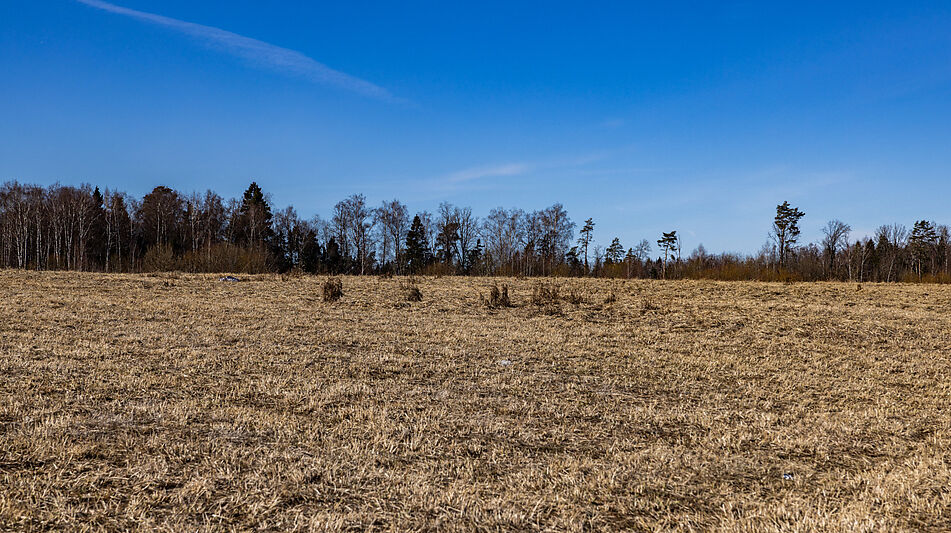 Участок в КП Новосельцево