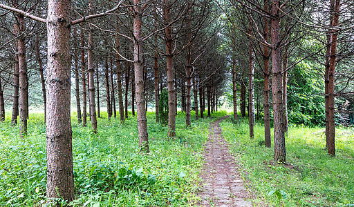 Участок в Деревне Рыбаки