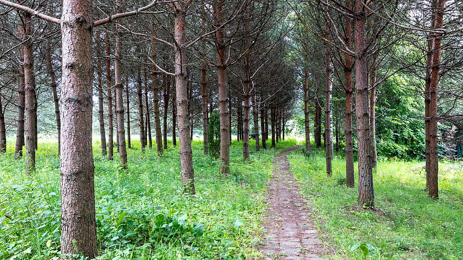Участок в Деревне Рыбаки