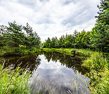 Участок в Деревне Рыбаки