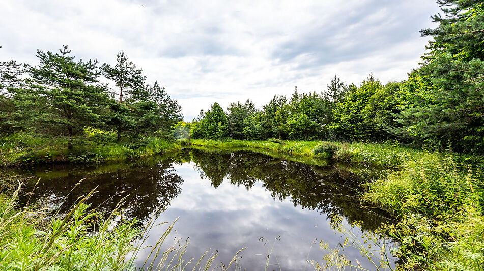 Участок в Деревне Рыбаки