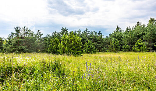 Участок в Деревне Рыбаки