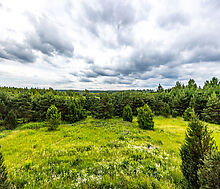 Участок в Деревне Рыбаки