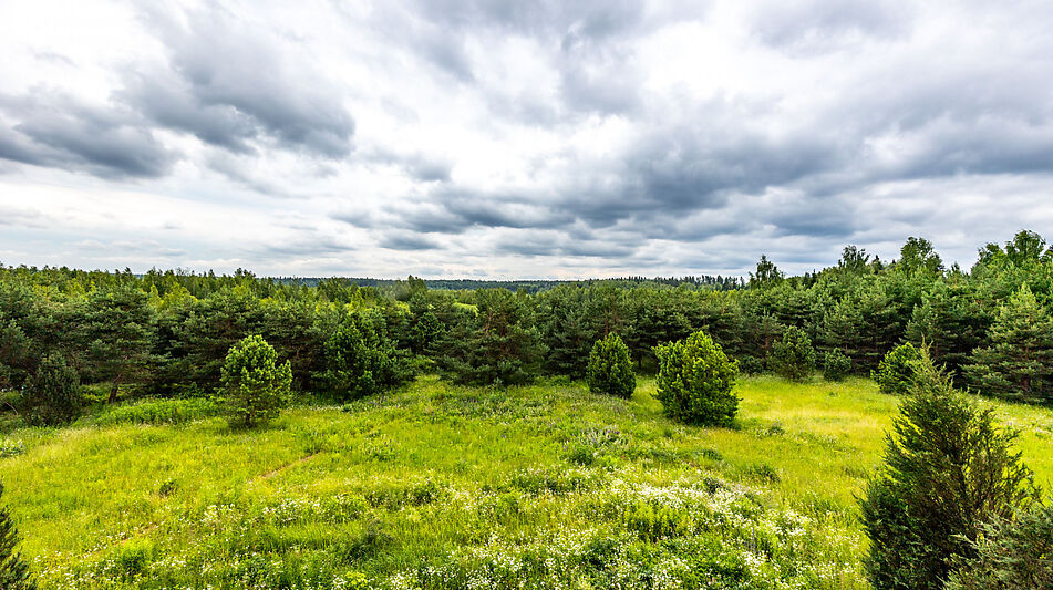 Участок в Деревне Рыбаки