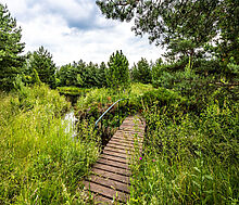 Участок в Деревне Рыбаки