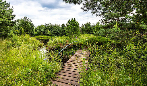 Участок в Деревне Рыбаки