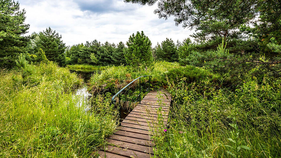 Участок в Деревне Рыбаки