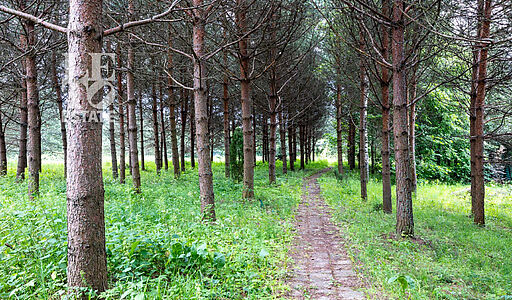 Участок в Деревне Рыбаки