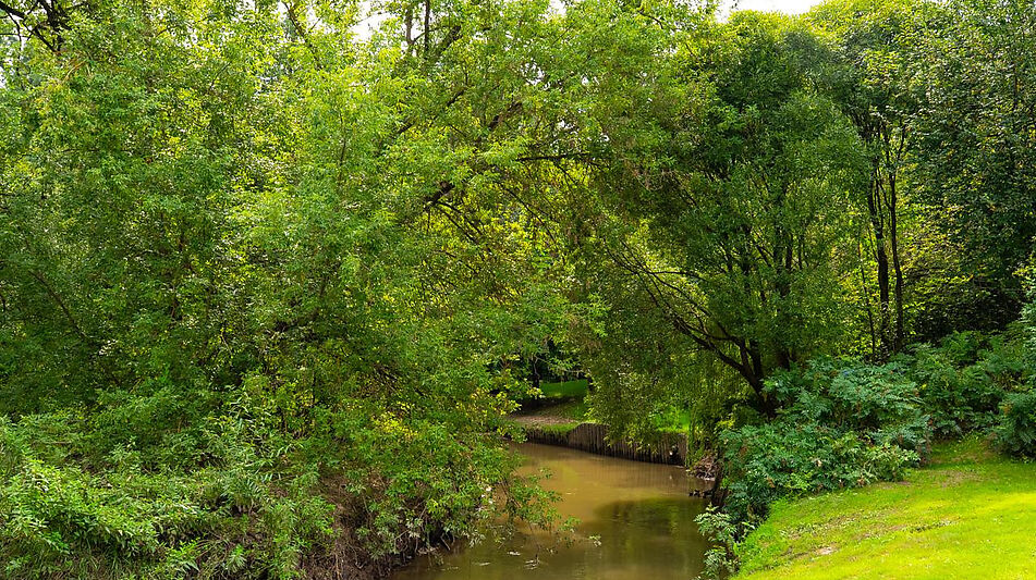 Резиденция в КП Стольное