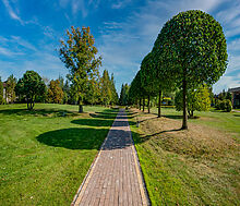 Дом в КП Миллениум парк