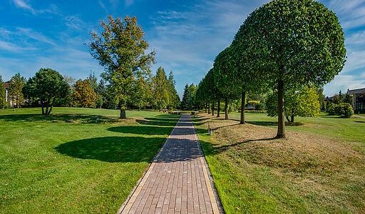 Дом в Миллениум парке