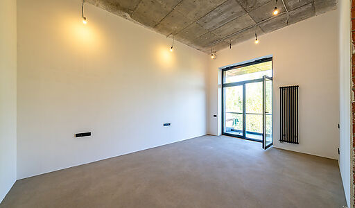 Дом в Миллениум парке