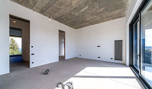 Дом в Миллениум парке