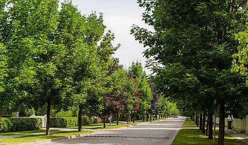 Участок в КП Резиденции Бенилюкс