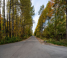 Одноэтажный дом в Мытищах