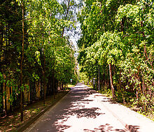Поселок дачного хозяйства Архангельское