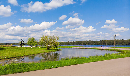Дом с бассейном в Пестово