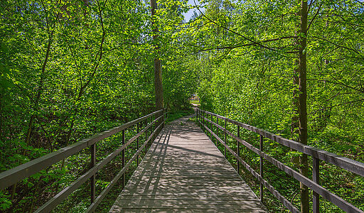 Уникальная усадьба в Дубраве
