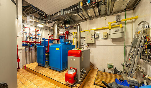 Уникальная усадьба в Дубраве