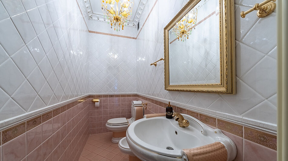 Уникальная усадьба в Дубраве