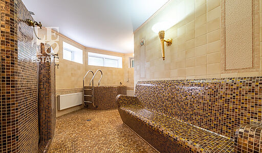 Уникальная усадьба в Дубраве