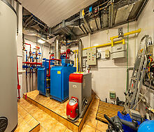 Уникальная усадьба в Дубраве