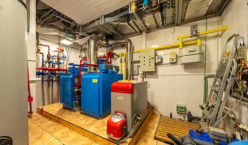 Уникальная усадьба в Дубраве