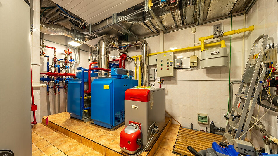 Уникальная усадьба в Дубраве