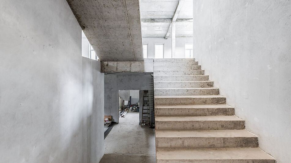 Дом в окружении леса.