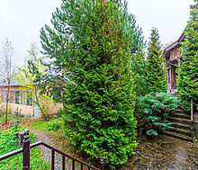 Уютный дом в Большая Черная