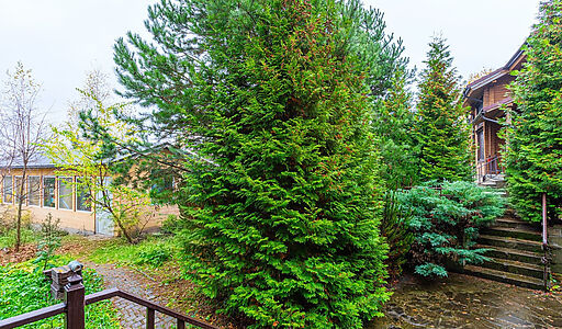 Уютный дом в Большая Черная