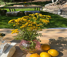 Видовой лесной участок.