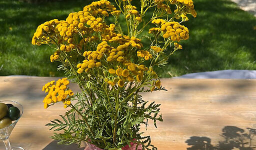 Видовой лесной участок.