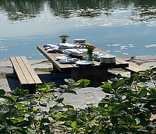 Видовой лесной участок.