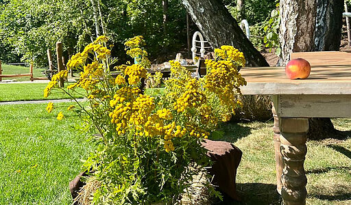 Видовой лесной участок.