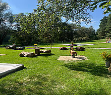 Видовой лесной участок.