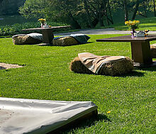 Видовой лесной участок.