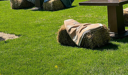 Видовой лесной участок.