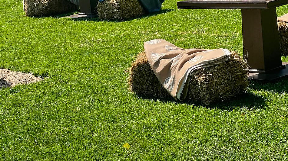 Видовой лесной участок.