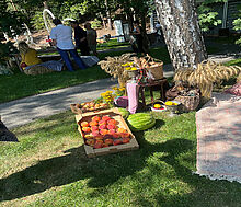 Видовой лесной участок.