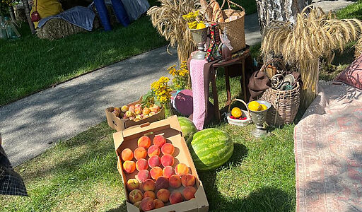 Видовой лесной участок.