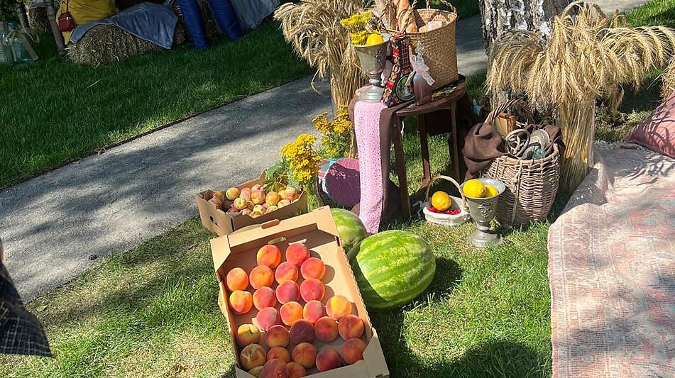 Видовой лесной участок.