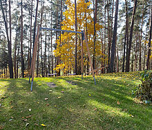 Видовой лесной участок.