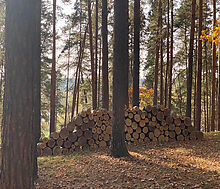 Видовой лесной участок.