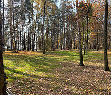 Видовой лесной участок.