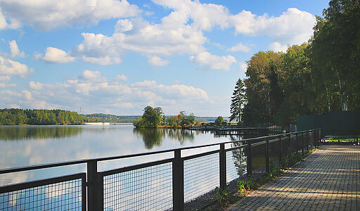 Дом под ключ с бассейном Адмирал
