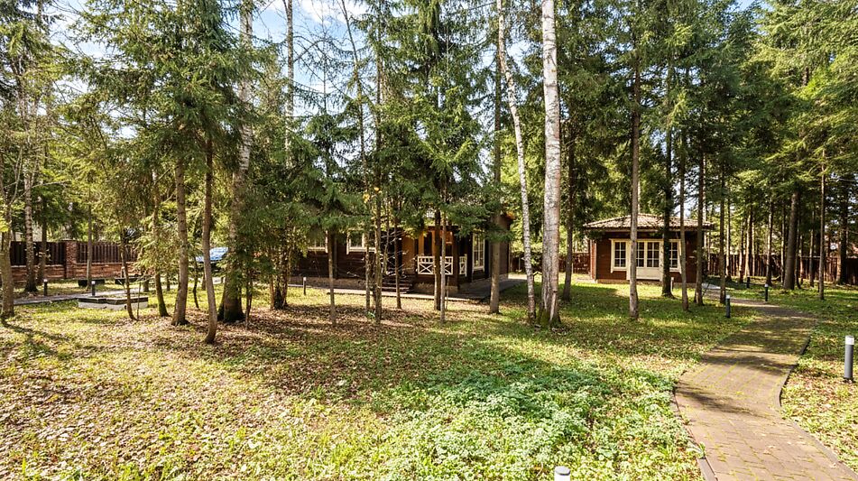 Дом из бруса в лесу у озера